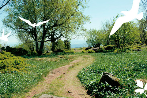 Landschaft mit Vögel